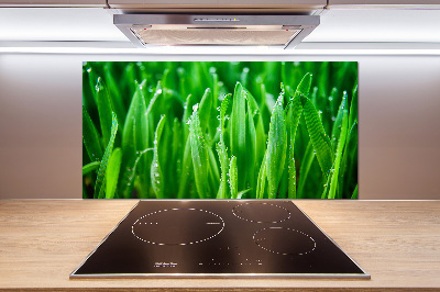 Platte für Küchenrückwand Gras