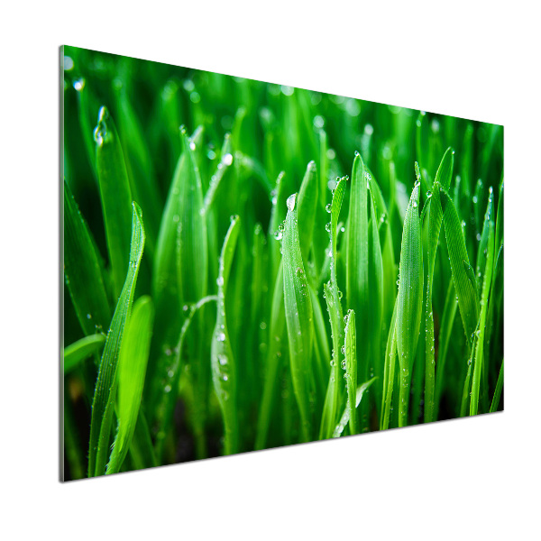 Platte für Küchenrückwand Gras