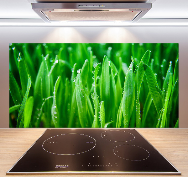 Platte für Küchenrückwand Gras