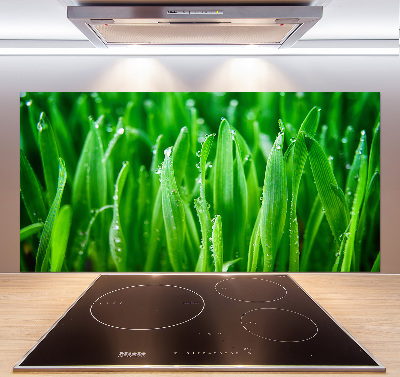 Platte für Küchenrückwand Gras