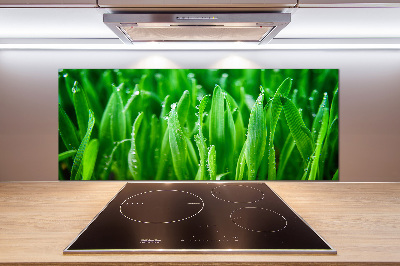 Platte für Küchenrückwand Gras