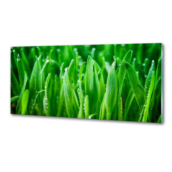 Platte für Küchenrückwand Gras