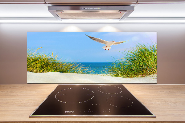 Glasrückwand für die küche Möwe am Strand