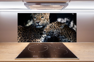 Platte für Küchenrückwand Zwei Leoparden