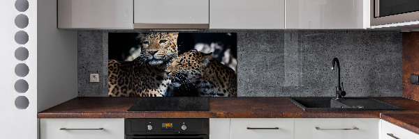 Platte für Küchenrückwand Zwei Leoparden