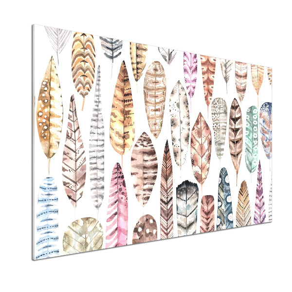 Glasrückwand für die küche Bunte Federn