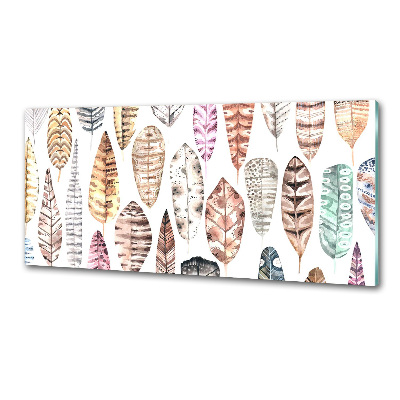 Glasrückwand für die küche Bunte Federn