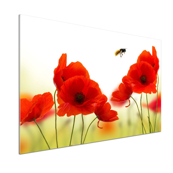 Glasrückwand für die küche Mohnblumen