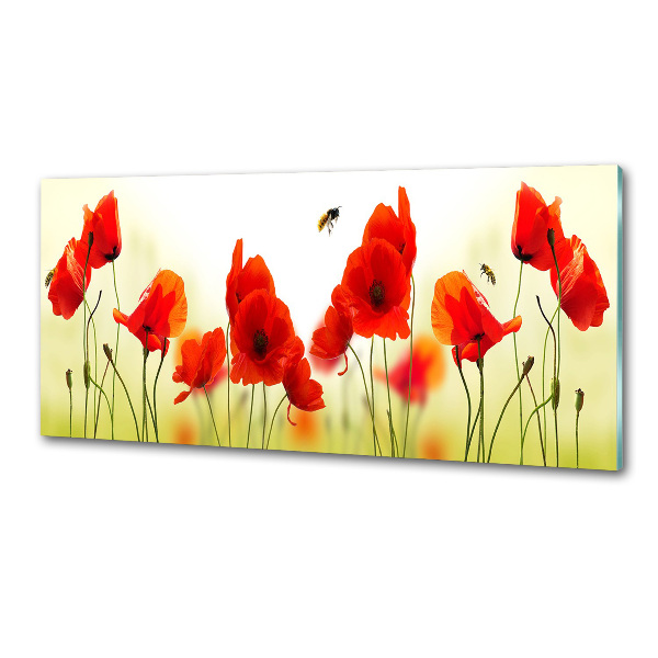 Glasrückwand für die küche Mohnblumen