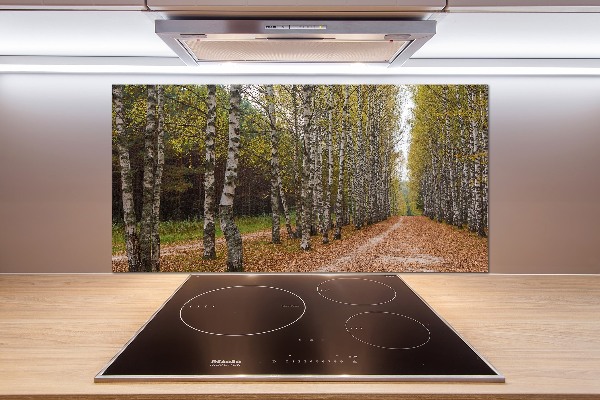 Küchen wandpaneel Birkenallee