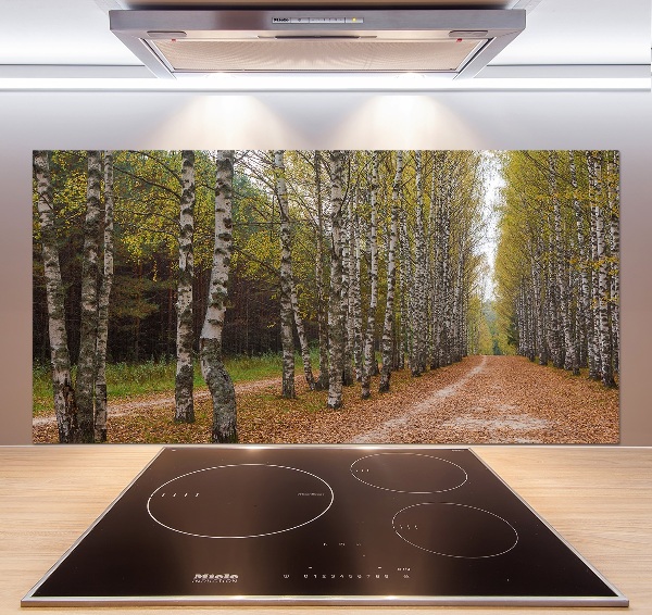 Küchen wandpaneel Birkenallee