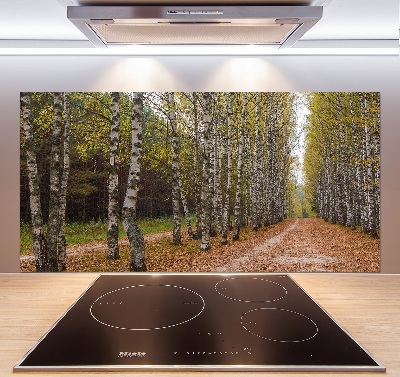 Küchen wandpaneel Birkenallee