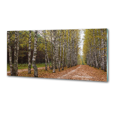 Küchen wandpaneel Birkenallee