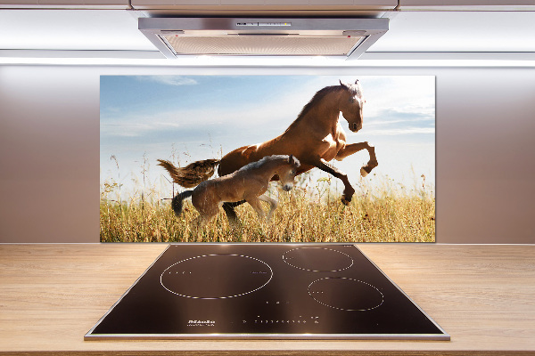 Glasrückwand für die küche Stute mit Fohlen