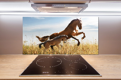 Glasrückwand für die küche Stute mit Fohlen