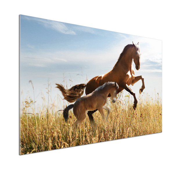 Glasrückwand für die küche Stute mit Fohlen