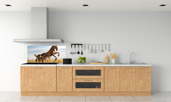 Glasrückwand für die küche Stute mit Fohlen