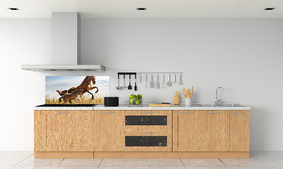 Glasrückwand für die küche Stute mit Fohlen