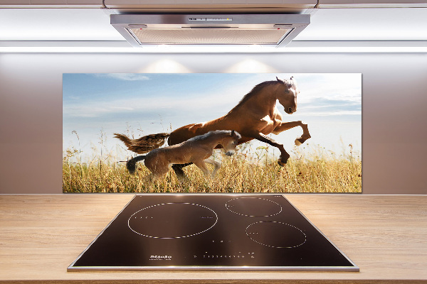 Glasrückwand für die küche Stute mit Fohlen