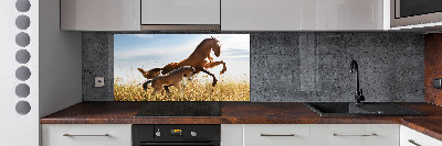 Glasrückwand für die küche Stute mit Fohlen