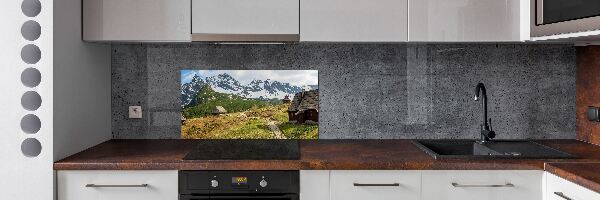 Glasrückwand für die küche Weiden im Tatra-Gebirge