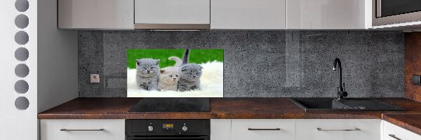 Platte für Küchenrückwand Drei Katzen auf einer Decke