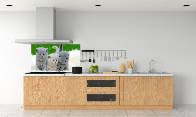 Platte für Küchenrückwand Drei Katzen auf einer Decke