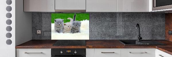 Platte für Küchenrückwand Drei Katzen auf einer Decke