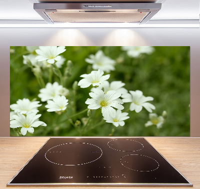 Küchen wandpaneel Frühlingsblumen