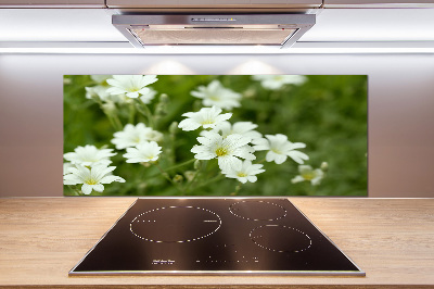 Küchen wandpaneel Frühlingsblumen