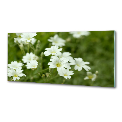 Küchen wandpaneel Frühlingsblumen