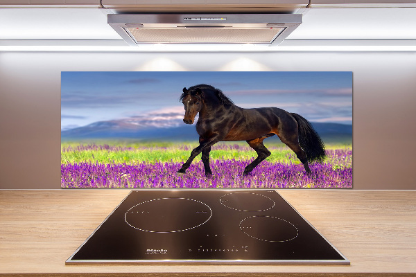 Küchen wandpaneel Ein Pferd im Lavendelfeld