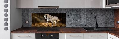 Platte für Küchenrückwand Weißes Pferd im Stall