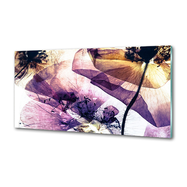 Glasrückwand für die küche Getrocknete Mohnblumen