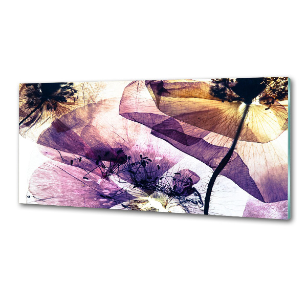 Glasrückwand für die küche Getrocknete Mohnblumen