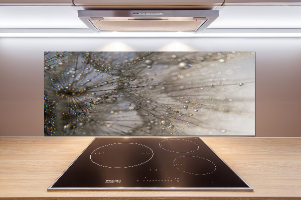 Küchen wandpaneel Löwenzahnsamen