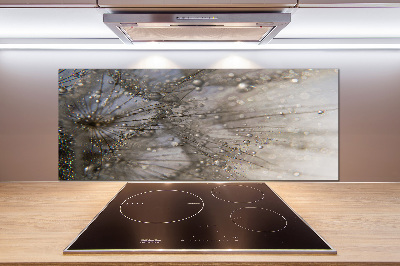 Küchen wandpaneel Löwenzahnsamen