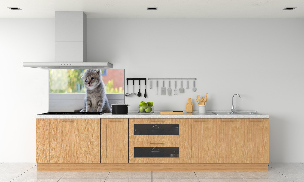 Glasrückwand für die küche Eine kleine Katze am Fenster