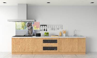 Glasrückwand für die küche Eine kleine Katze am Fenster