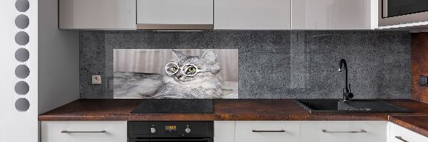 Glasrückwand für die küche Katze mit Brille