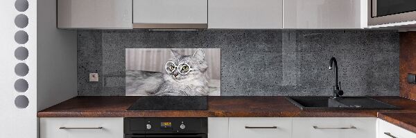 Glasrückwand für die küche Katze mit Brille