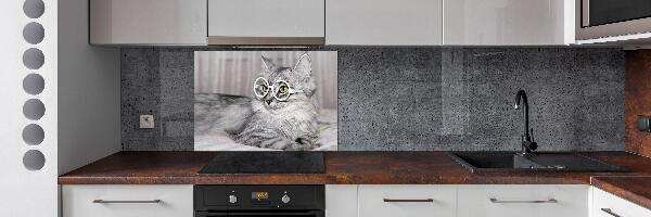 Glasrückwand für die küche Katze mit Brille
