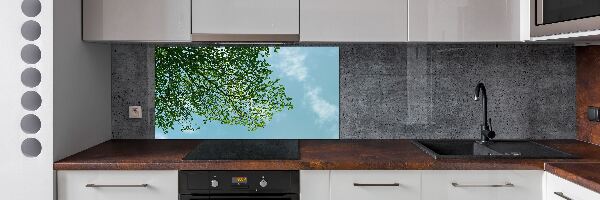 Glasrückwand für die küche Blätter am Himmel