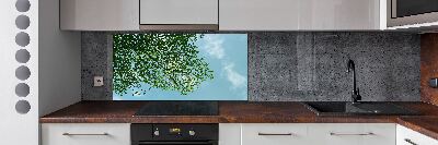 Glasrückwand für die küche Blätter am Himmel