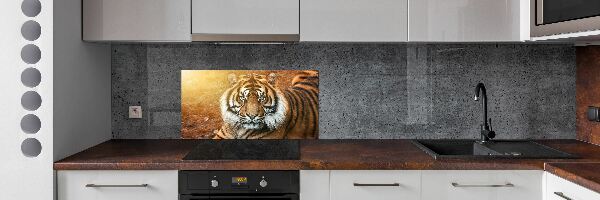 Platte für Küchenrückwand Bengal-Tiger
