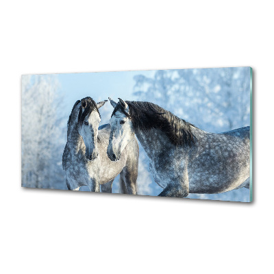 Glasrückwand für die küche Graue Pferde im Winter