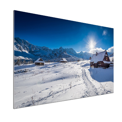 Glasrückwand für die küche Weiden im Tatra-Gebirge