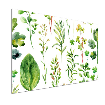 Platte für Küchenrückwand Kräuter und Unkräuter