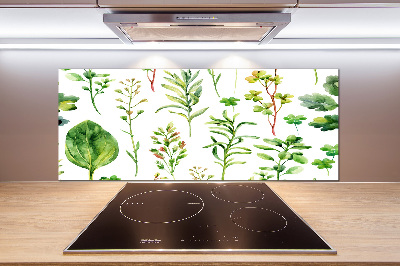 Platte für Küchenrückwand Kräuter und Unkräuter