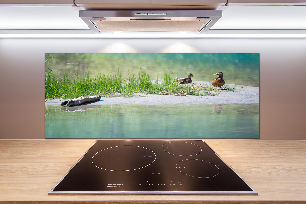 Platte für Küchenrückwand Enten am Wasser